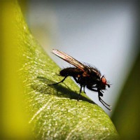 /album/diegoacosta/photolia-a04-jpg/