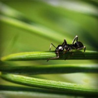 /album/diegoacosta/photolia-a05-jpg/