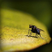 /album/diegoacosta/photolia-a07-jpg/